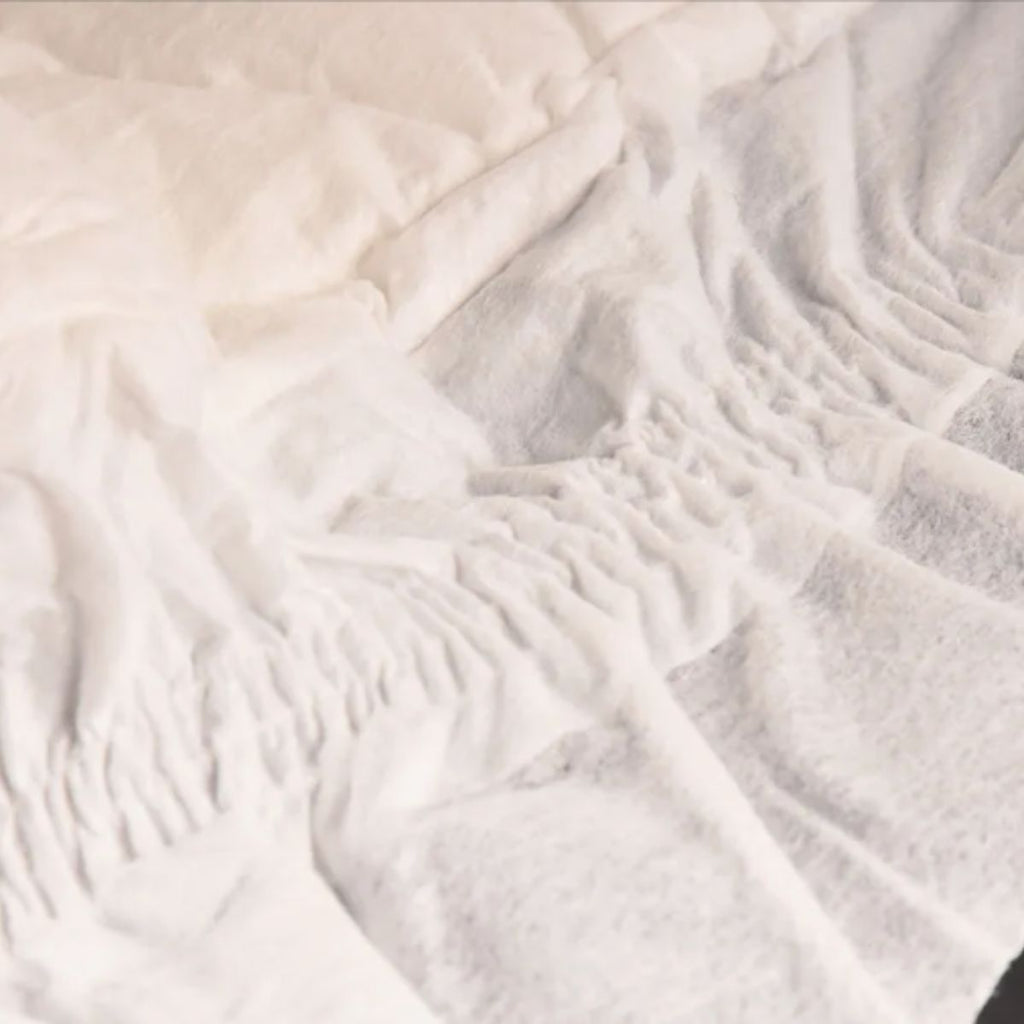 Fralda PET para Cães Machos  - PPC00017