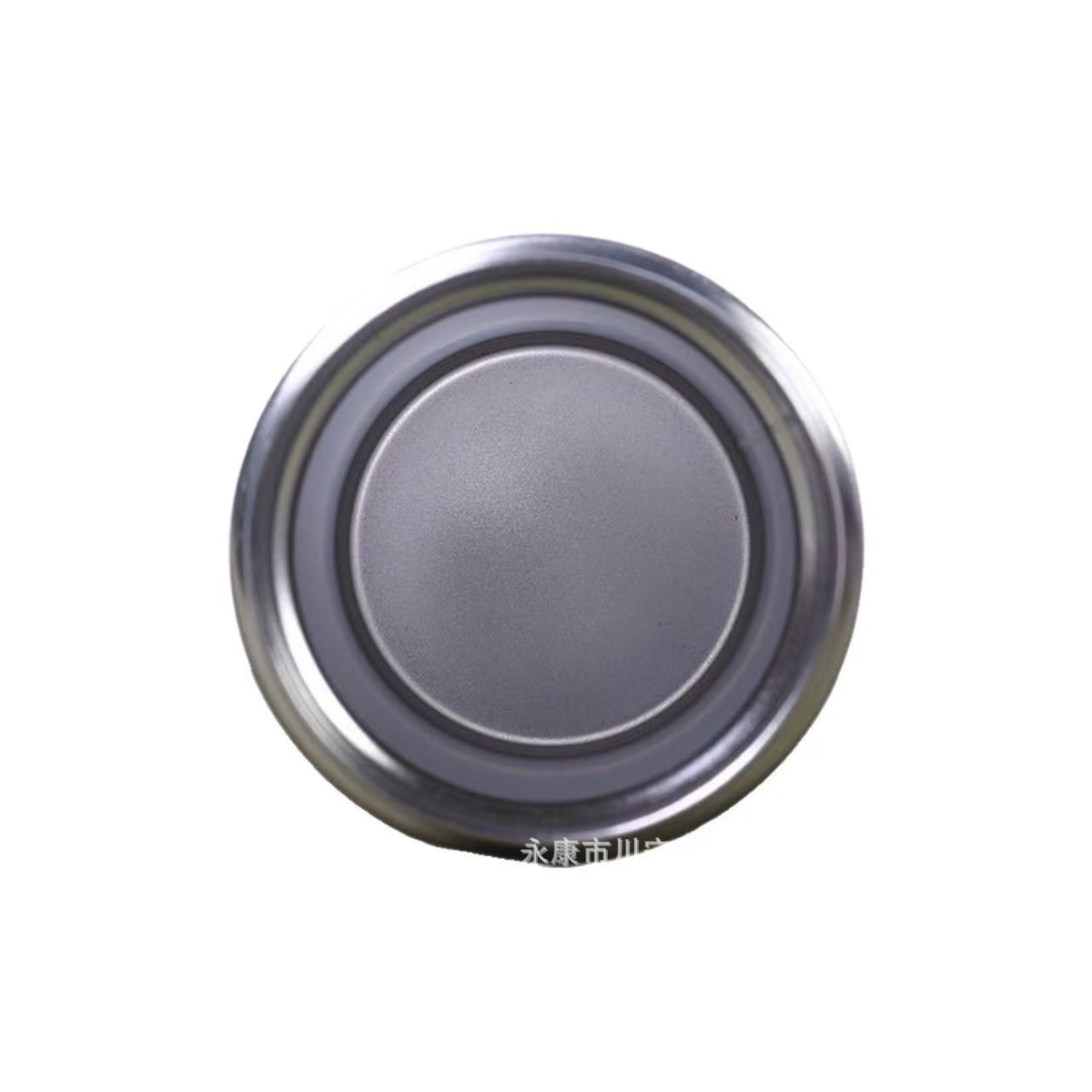 Garrafa Térmica de Aço Inoxidável Esportiva - IOD00043