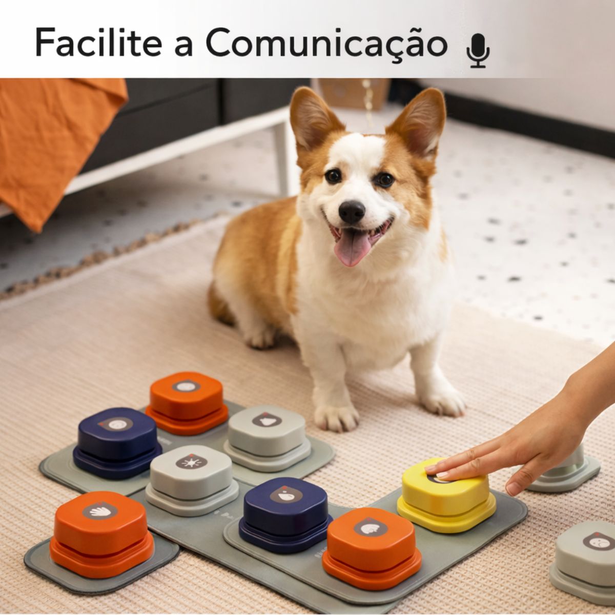 Kit 4 Botões Gravadores Interativos para Cães e Gatos - QS02F