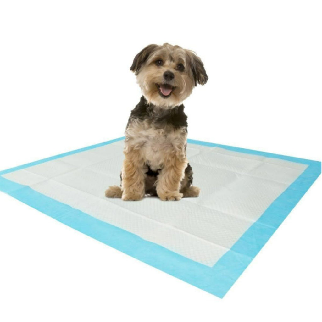 Tapete Higiênico para Pets Econômica - PPC00006/7/8