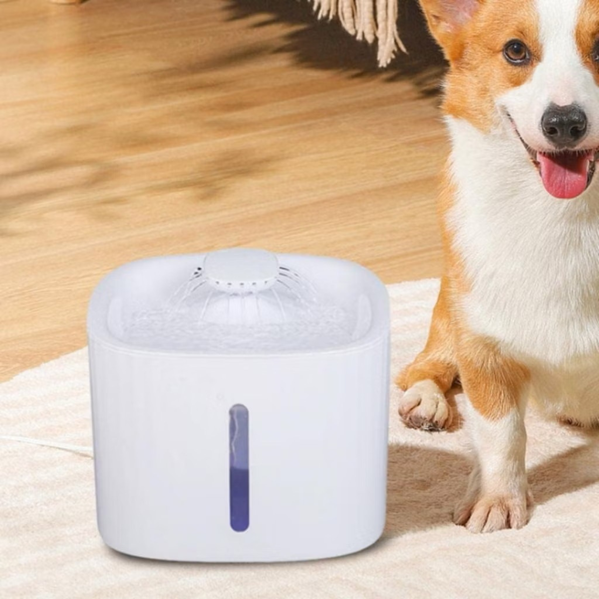 Caixa de Bebedouro Fonte Automático com Filtro 3 Estágios para Pet 3 Litros - NGB00001